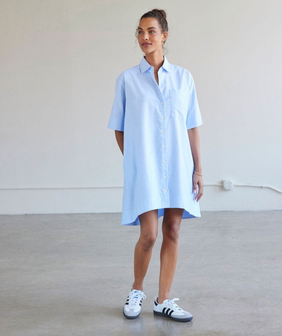 Womenswear AYR Dresses & Skirts | The Novella